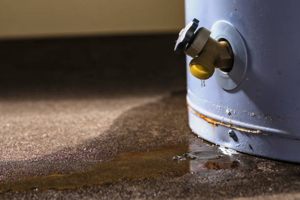 Best Water damage contractors near me  in Woodhaven, MI