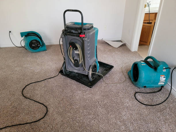 Best Ceiling water damage repair  in Woodhaven, MI