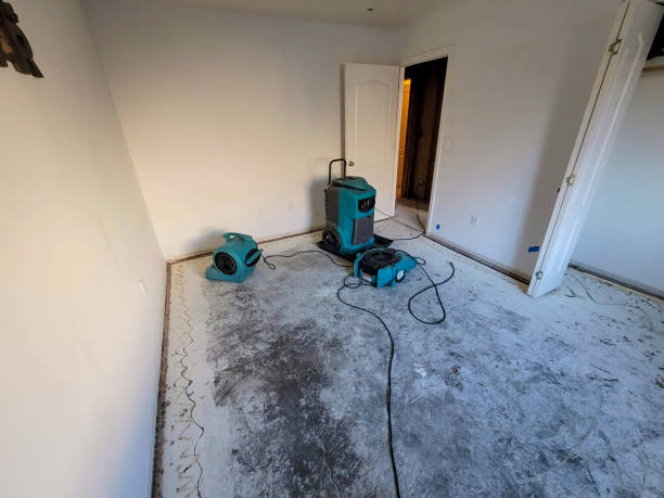 Best Mold removal after water damage  in Woodhaven, MI