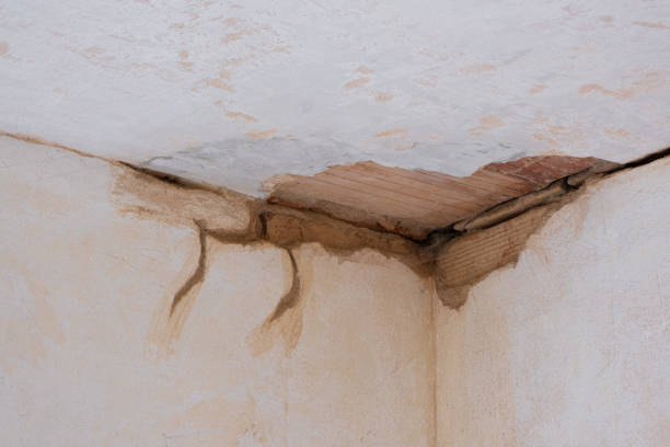 Best Flood restoration services  in Woodhaven, MI