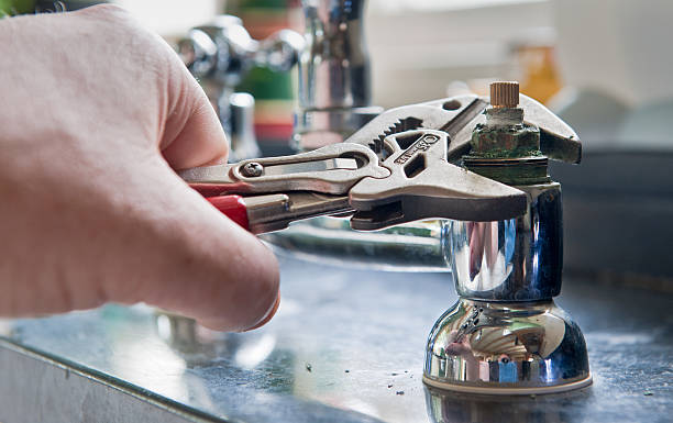 Best Flooded house restoration  in Woodhaven, MI