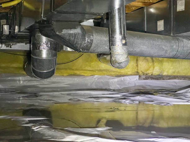 Best Flooded house restoration  in Woodhaven, MI