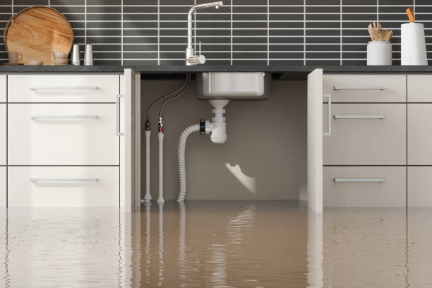 Best Water damage restoration near me  in Woodhaven, MI