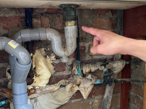 Best Flooded house restoration  in Woodhaven, MI