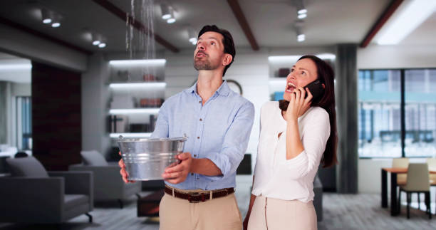Best Carpet water damage restoration  in Woodhaven, MI